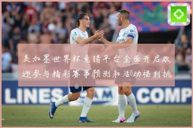美加墨世界杯竞猜平台全面开启欢迎参与精彩赛事预测和活动福利挑数据研判-深度解析